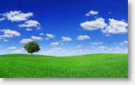 Naturheilverfahren
